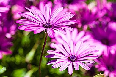 动视暴雪财报：收入、利润两位数下滑 《暗黑4》2023年发售